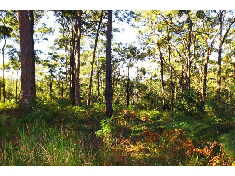 Lots At Lake Ridge Estate, Kew NSW 2439