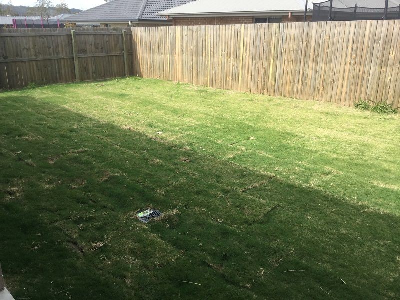 44 Treeline Circuit, Yarrabilba QLD 4207