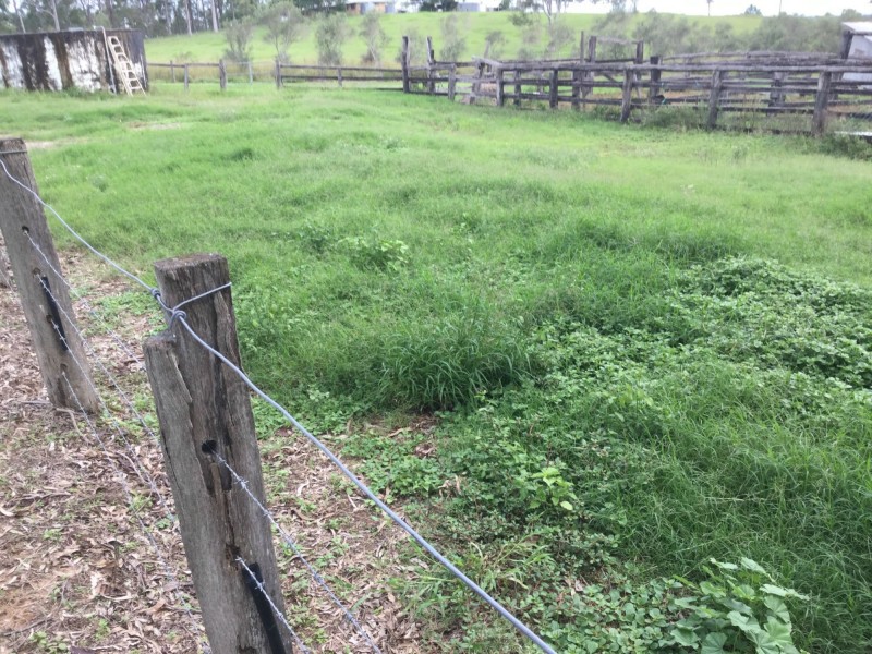 South Maclean QLD 4280