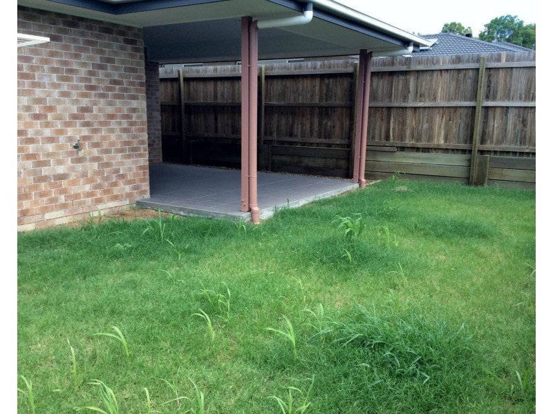 13 Alabaster Drive, Logan Reserve QLD 4133