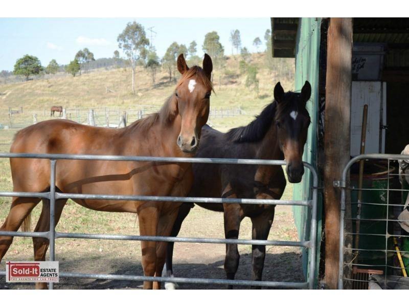 Knapp Creek QLD 4285