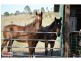 755 Knapp Creek Road, Knapp Creek QLD 4285