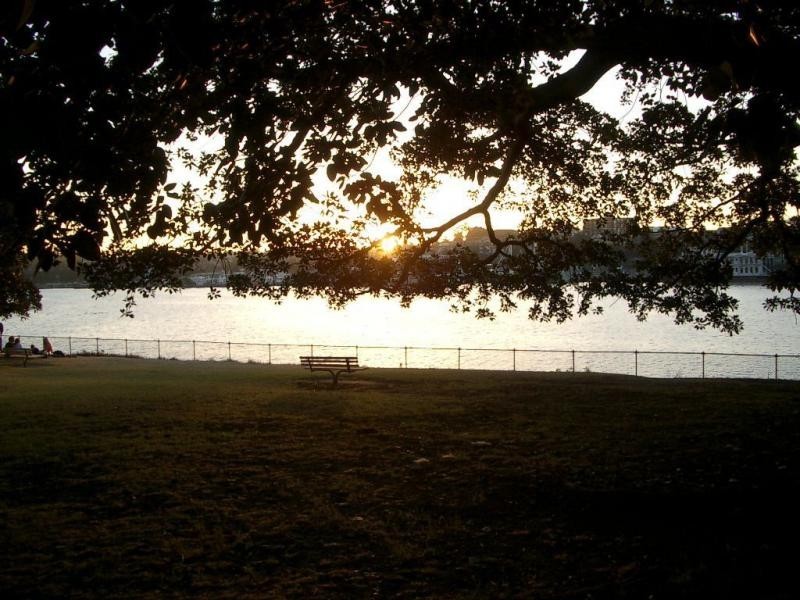 Unit 5/501 Glebe Point Road, Glebe NSW 2037