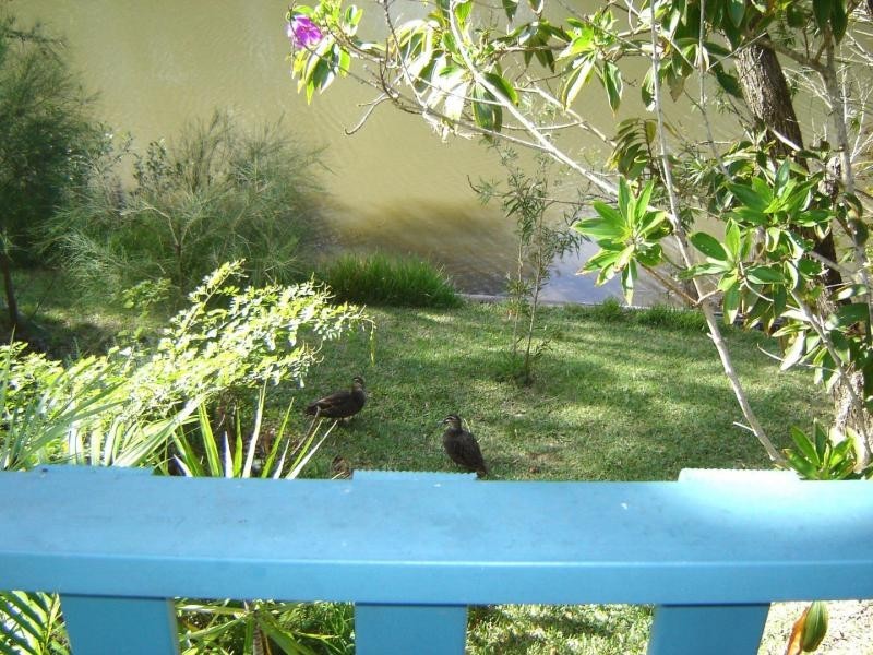 36/36 Golding Street, Gateway Lifestyle Yamba Waters, Yamba NSW 2464