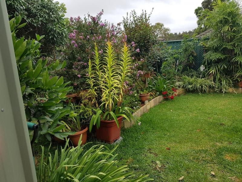 64/314 Buff Point Avenue, Gateway Lifestyle Lakeland, Buff Point NSW 2262