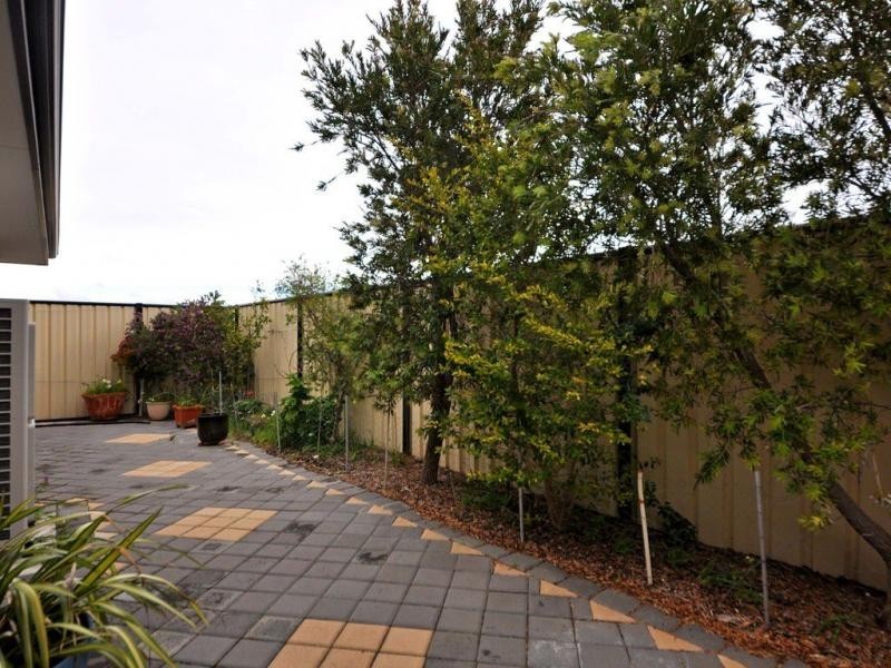 19 Longleaf Drive, Clarkson WA 6030