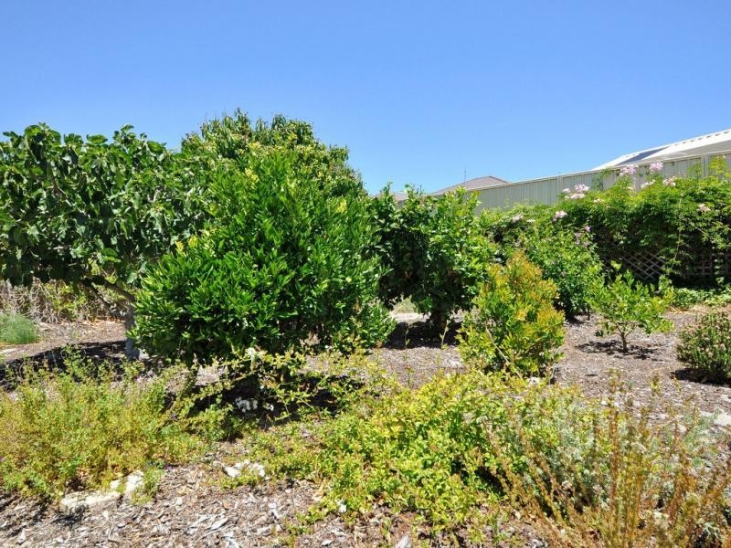 7 Vance Close, Kingsley WA 6026