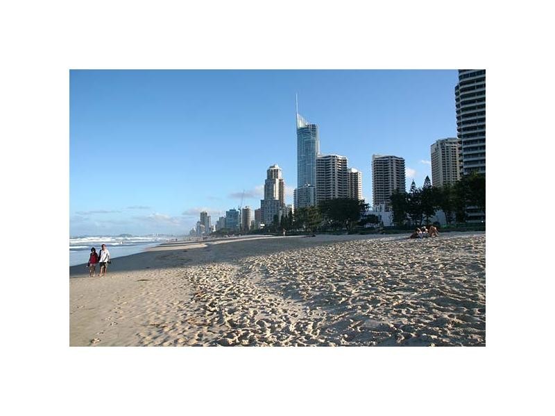 204/67 Ferny Avenue, Surfers Paradise QLD 4217