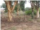 Lot 1 Jones Lane, Mologa VIC 3575