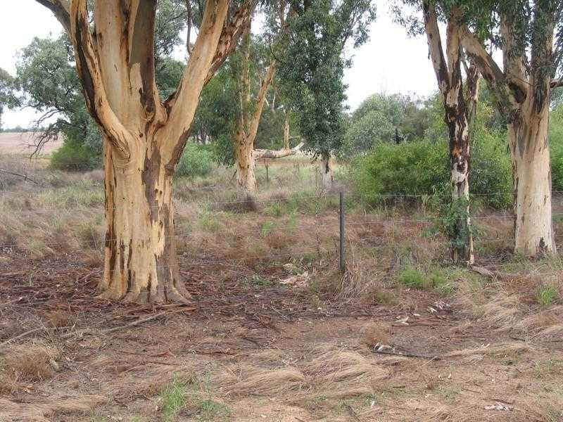 Lot 1 Jones Lane, Mologa VIC 3575