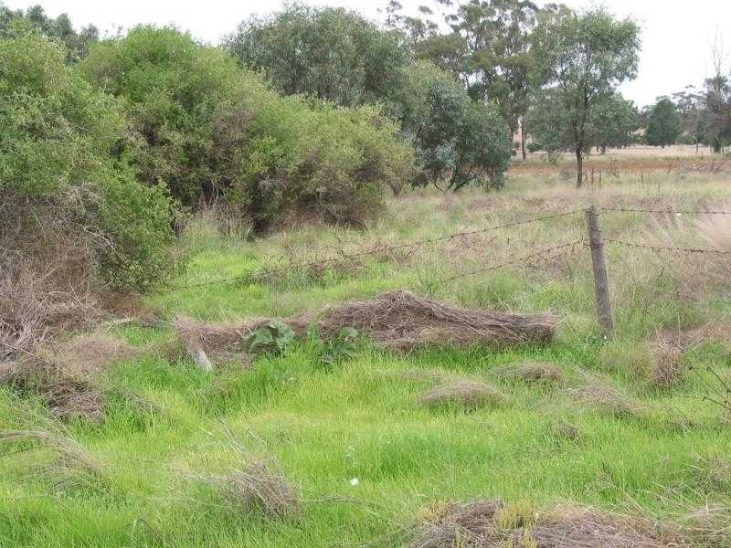 Lot 1 Jones Lane, Mologa VIC 3575