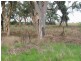 Lot 1 Jones Lane, Mologa VIC 3575