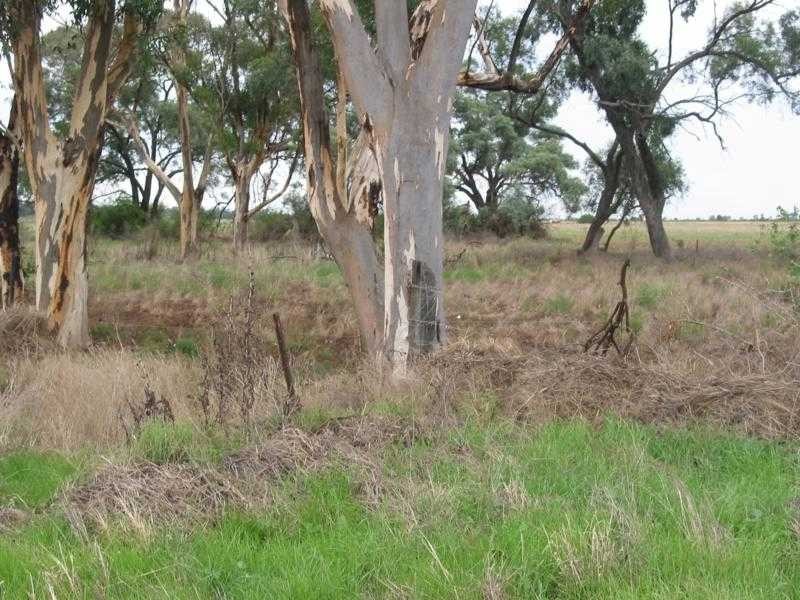 Lot 1 Jones Lane, Mologa VIC 3575