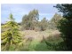 60 Fryes Road, Elphinstone VIC 3448