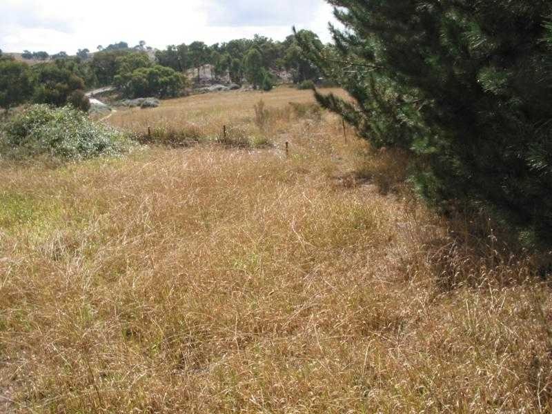 Lot 1 New Year Flat Road, Castlemaine VIC 3450
