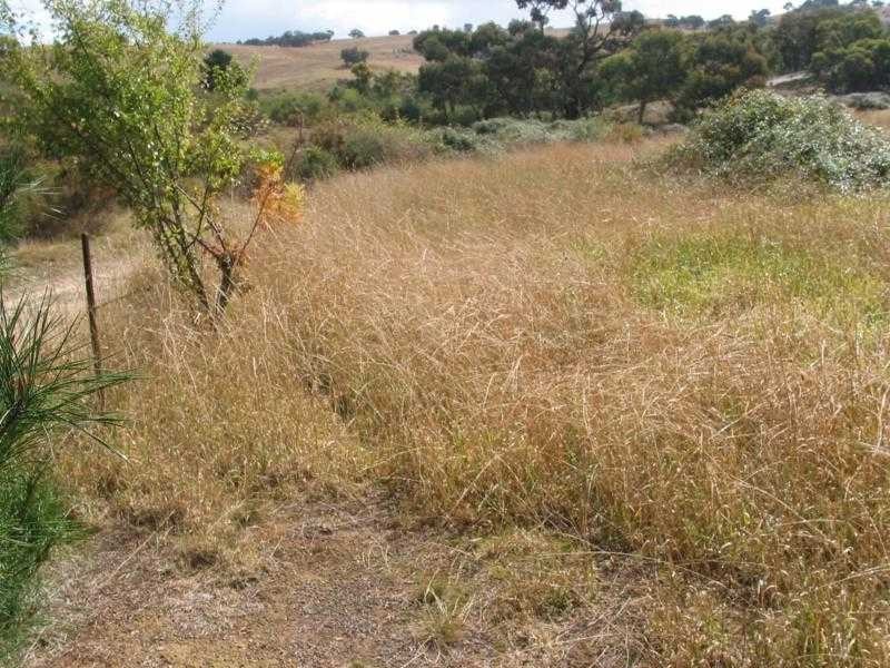 Lot 1 New Year Flat Road, Castlemaine VIC 3450