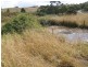Lot 1 New Year Flat Road, Castlemaine VIC 3450