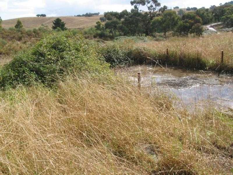 Lot 1 New Year Flat Road, Castlemaine VIC 3450