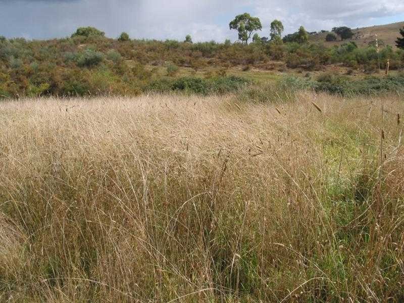 Lot 1 New Year Flat Road, Castlemaine VIC 3450