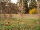 2 Caldwell Street, Heathcote VIC 3523