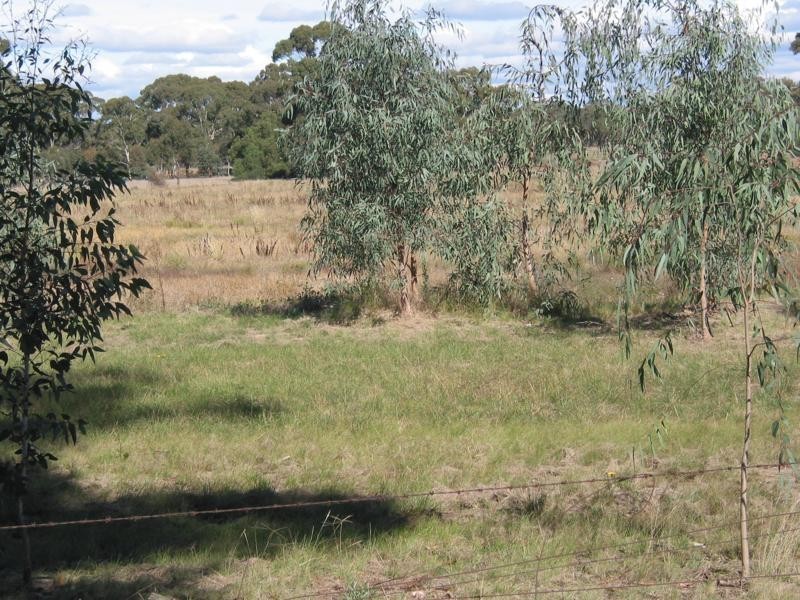 Lot 1 Borung Street, Inglewood VIC 3517