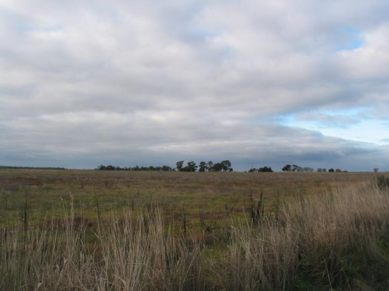 Lot 1 Calivil Mail Road, Prairie VIC 3572