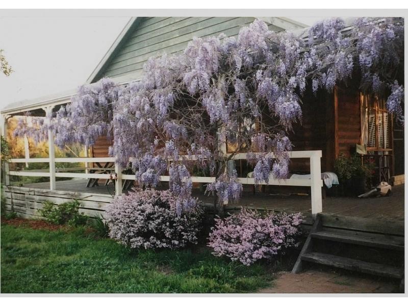 11 Matthews Road, Heathcote VIC 3523