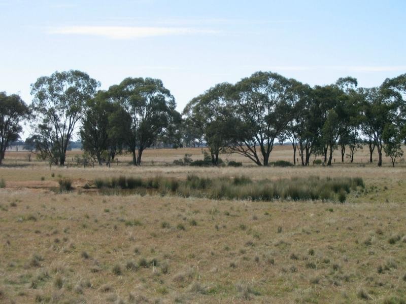 76 Eucy Road, Korong Vale VIC 3520