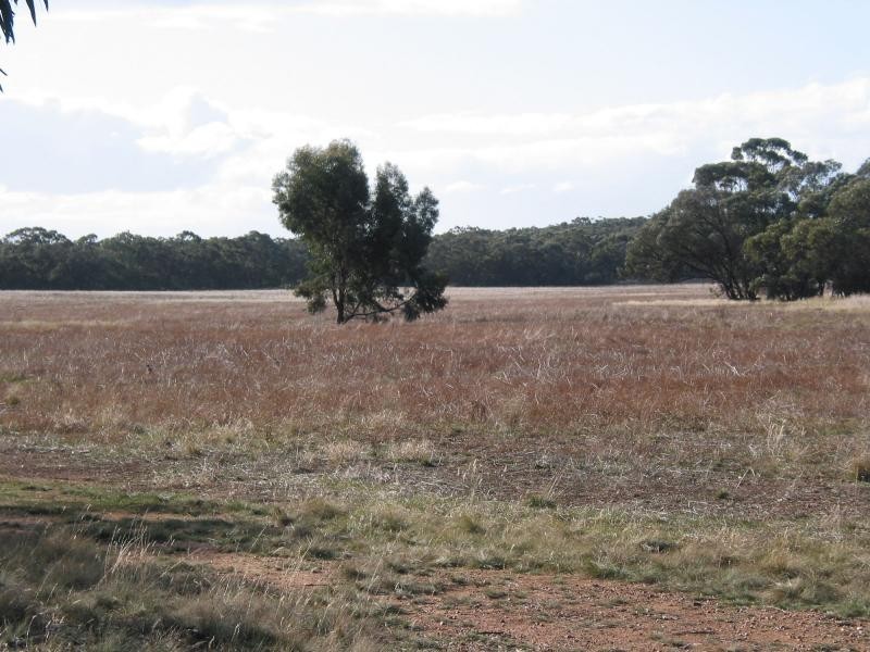 300 Woolshed Flat Road, Wedderburn VIC 3518