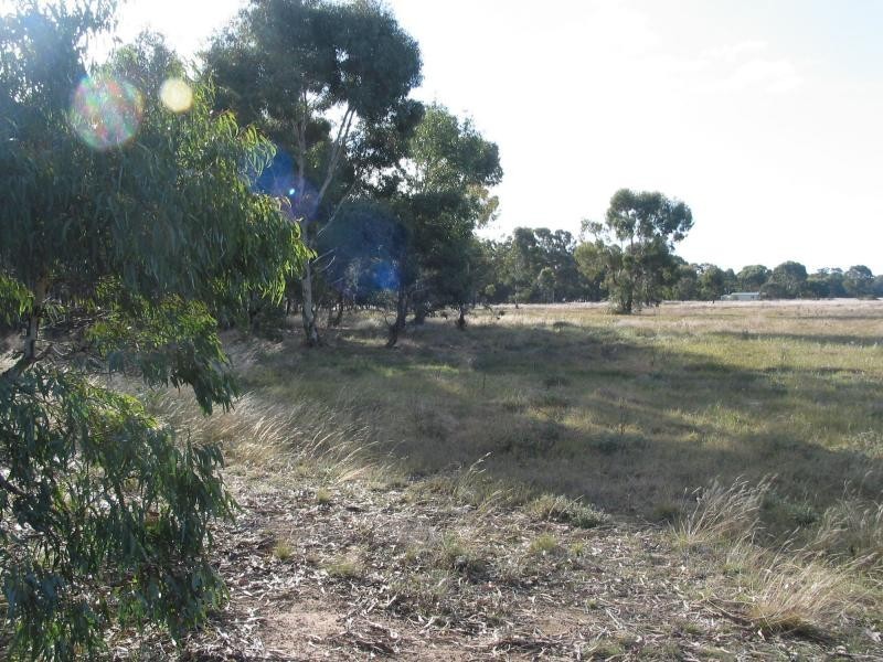 300 Woolshed Flat Road, Wedderburn VIC 3518