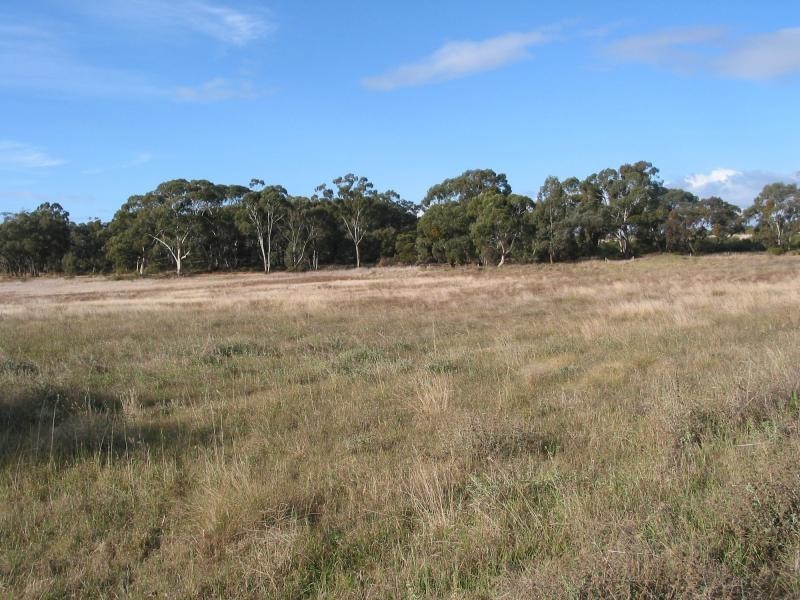 300 Woolshed Flat Road, Wedderburn VIC 3518