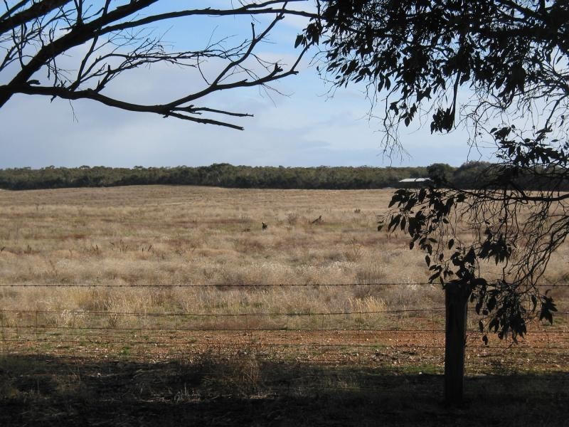 300 Woolshed Flat Road, Wedderburn VIC 3518