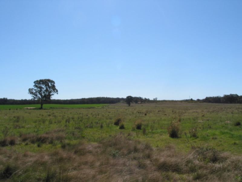 300 Woolshed Flat Road, Wedderburn VIC 3518