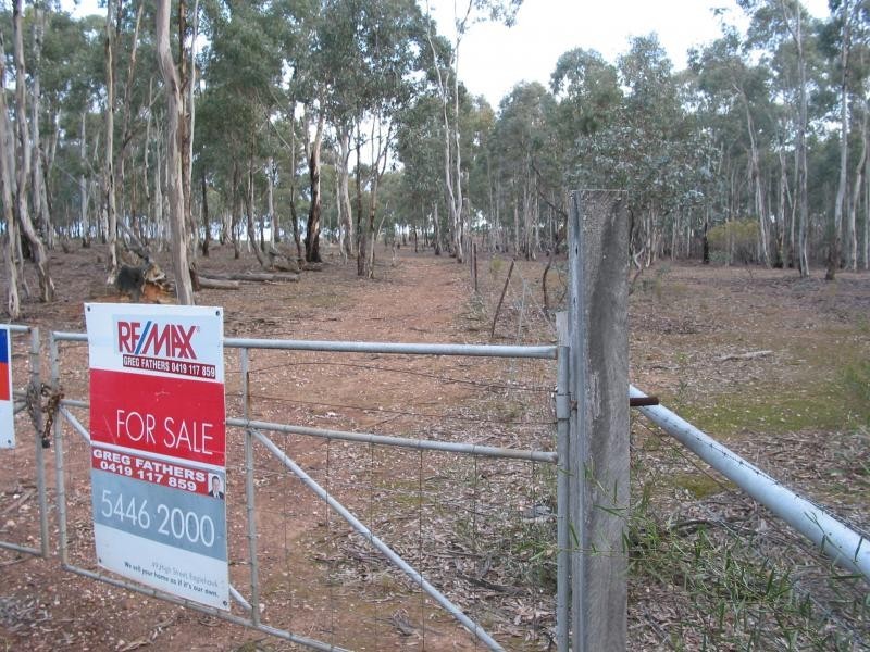 100 Rheola Arnold Road, Rheola VIC 3517