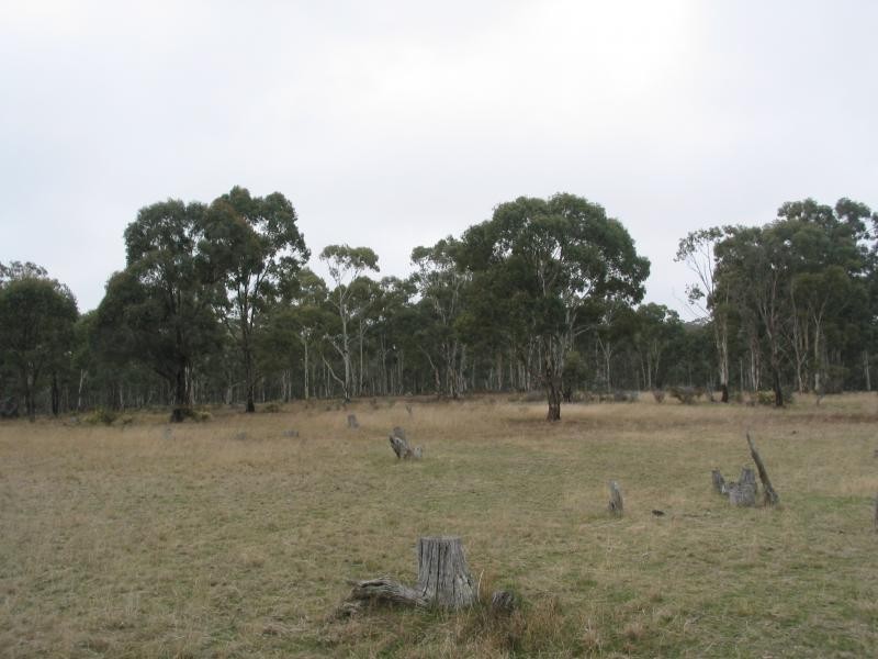 100 Rheola Arnold Road, Rheola VIC 3517