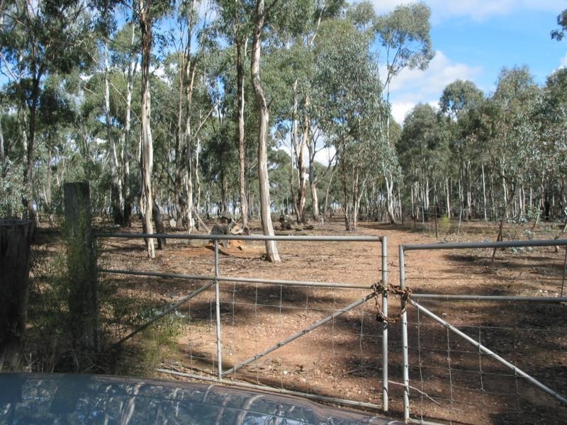 100 Rheola Arnold Road, Rheola VIC 3517