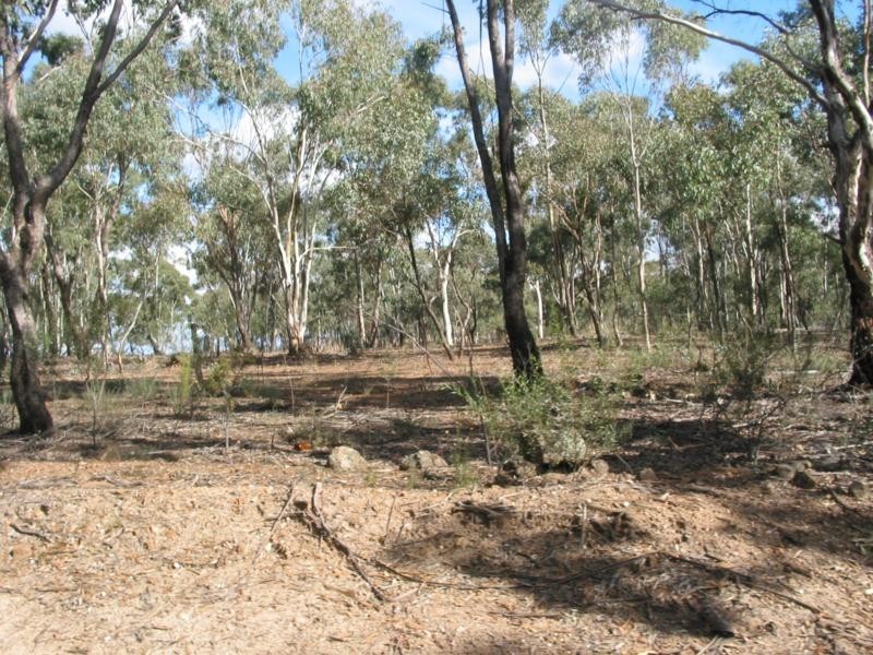 100 Rheola Arnold Road, Rheola VIC 3517