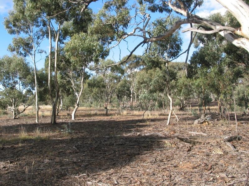 Lot 1 Dip Lane, Wedderburn VIC 3518