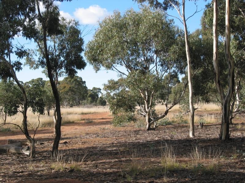 Lot 1 Dip Lane, Wedderburn VIC 3518