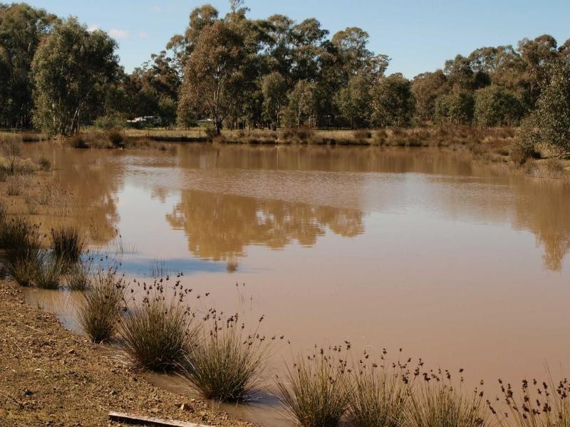 464 Warrowitue Forest, Heathcote VIC 3523