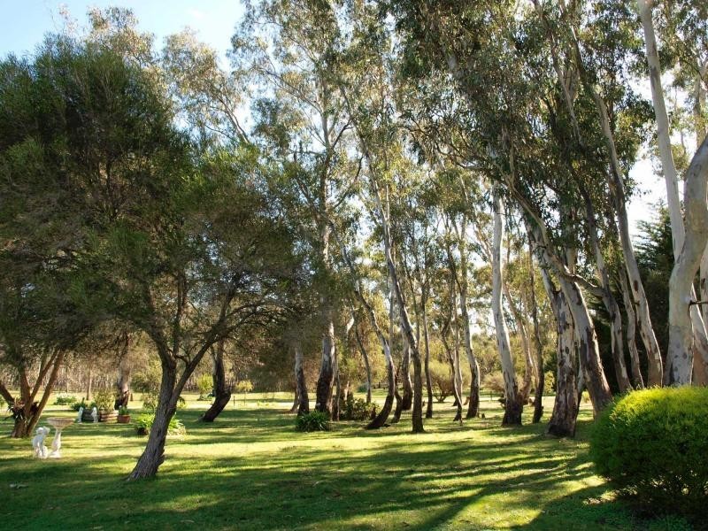 464 Warrowitue Forest, Heathcote VIC 3523