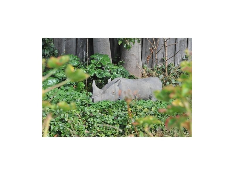 173 Don Street, Bendigo VIC 3550