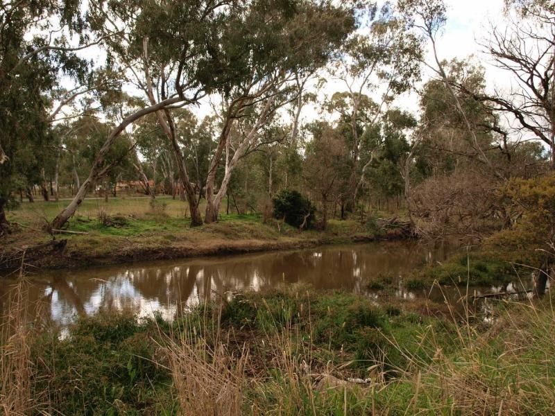 55 Beauchamp, Heathcote VIC 3523