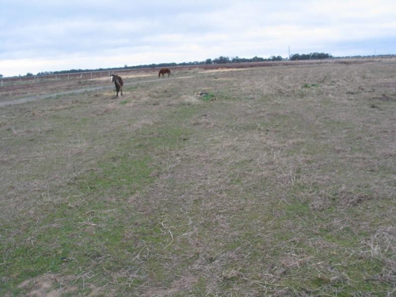 46 Tandarra Road, Serpentine VIC 3517