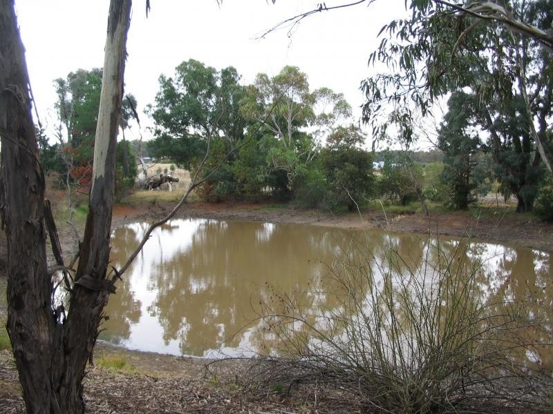 96 Middle Road, Dunolly VIC 3472