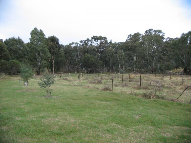 96 Middle Road, Dunolly VIC 3472