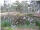 96 Middle Road, Dunolly VIC 3472