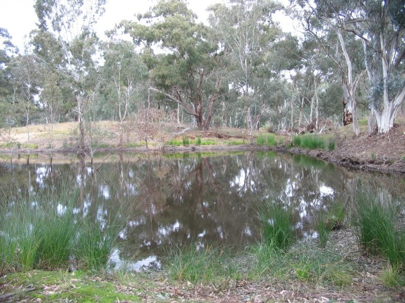 96 Middle Road, Dunolly VIC 3472