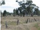CA23 Jennings Street, Inglewood VIC 3517