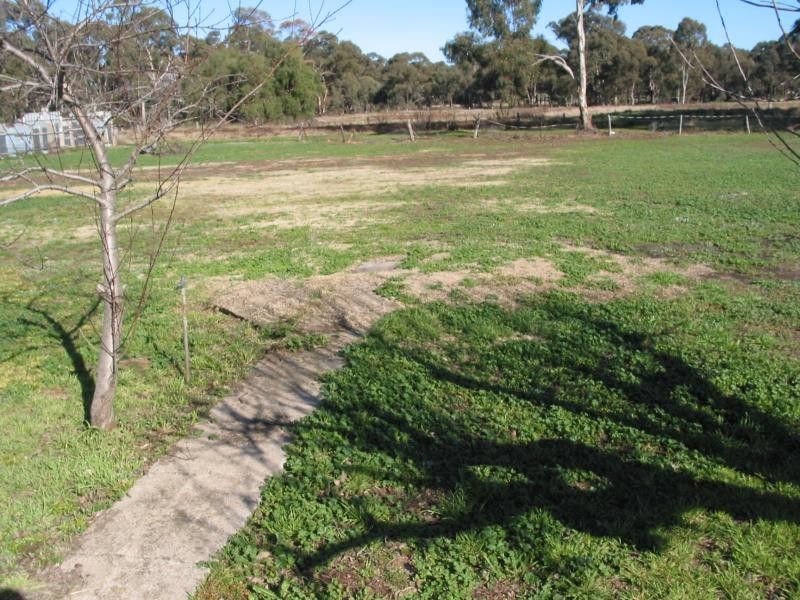 50 Ridge Street, Wedderburn VIC 3518